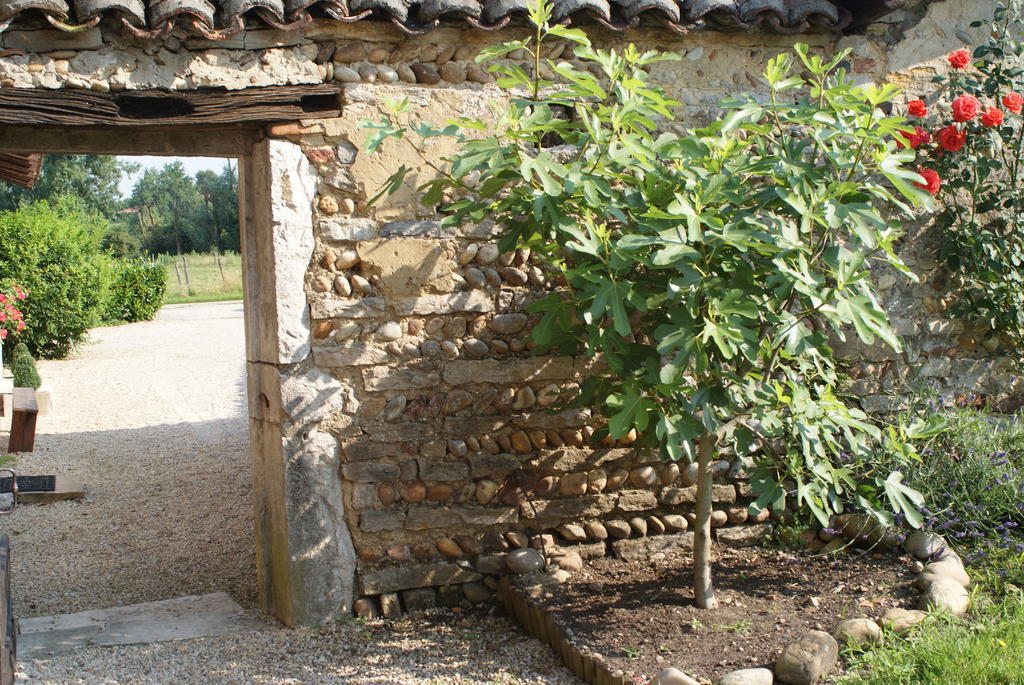 Le Moulin De Champagne Bed & Breakfast Viriat Exterior foto